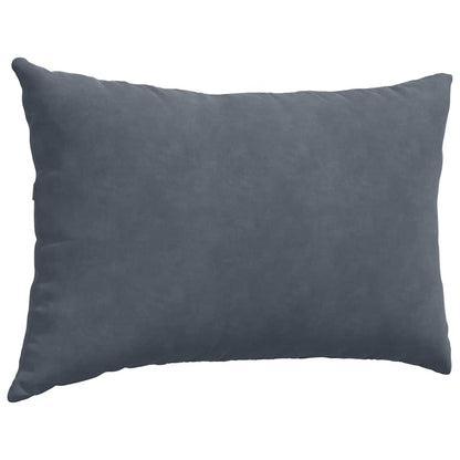 vidaXL Coussins de canapé 2 pcs Gris foncé 60 x 40 cm Tissu en velours côtelé