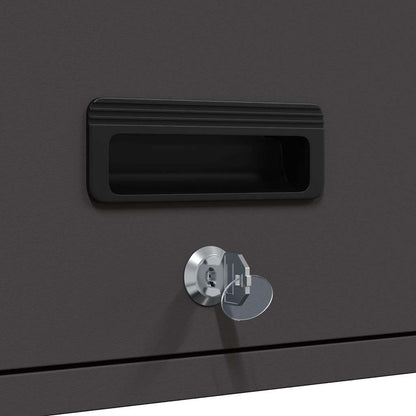 vidaXL Wandschrank für die Garage mit Gasdrucklift-Tür Schwarz