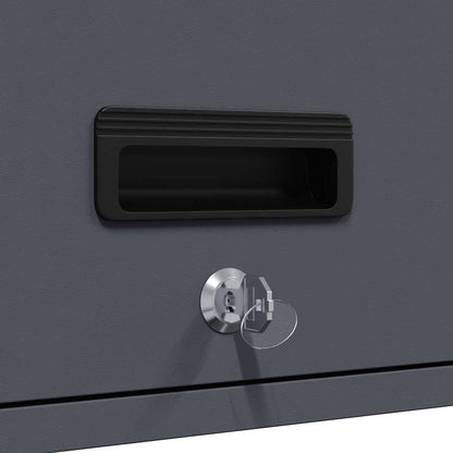 vidaXL Wandschrank für die Garage mit Gasdrucklift-Tür Anthrazit