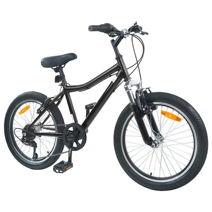 Kinderfahrrad 20 Zoll 6-Speed für 6-11 Jahre alt Schwarz