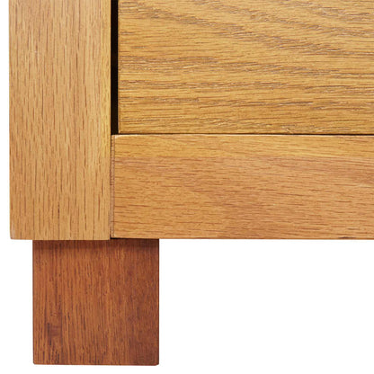 Schrank mit Schubladen mit Speicher Braun Holzwerkstoff