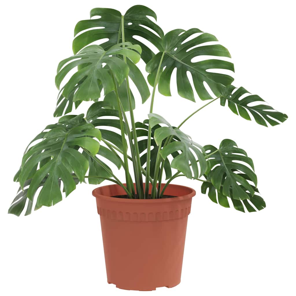 vidaXL Runder Blumentopf 6 pcs Ziegelrot Ø 19 x 16 cm Kunststoff