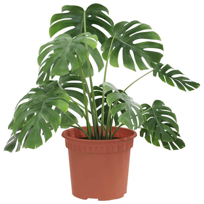 vidaXL Runder Blumentopf 24 pcs Ziegelrot Ø 12,5 x 10 cm Kunststoff