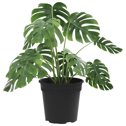 Runder Blumentopf 24 pcs Schwarz Ø 19 x 16 cm Kunststoff