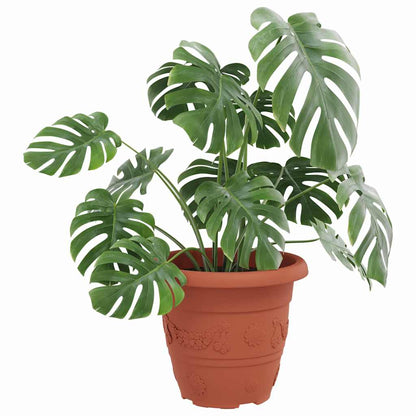 vidaXL Runder Blumentopf 24 pcs Ziegelrot Ø 26 x 21,5 cm Kunststoff