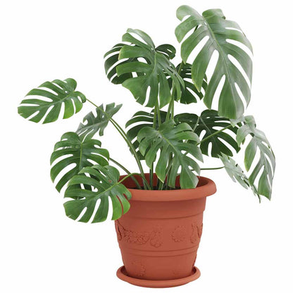 vidaXL Runde Blumenplatte 6 pcs Ziegelrot Ø 19 x 2 cm Kunststoff