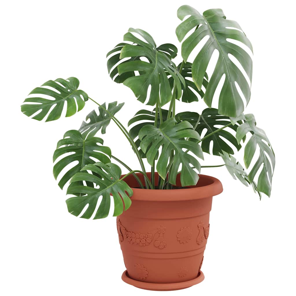 Runde Blumenplatte 6 pcs Ziegelrot Ø 23,5 x 2,5 cm Kunststoff