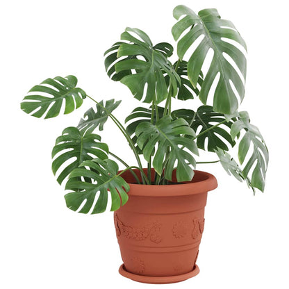 vidaXL Runde Blumenplatte 24 pcs Ziegelrot Ø 23,5 x 2,5 cm Kunststoff
