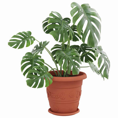 vidaXL Runde Blumenplatte 24 pcs Ziegelrot Ø 27 x 2,5 cm Kunststoff