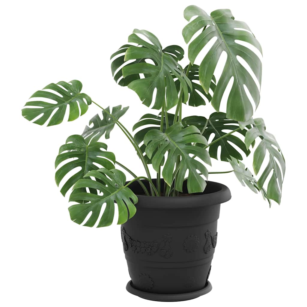 vidaXL Runde Blumenplatte 24 pcs Schwarz Ø 23,5 x 2,5 cm Kunststoff