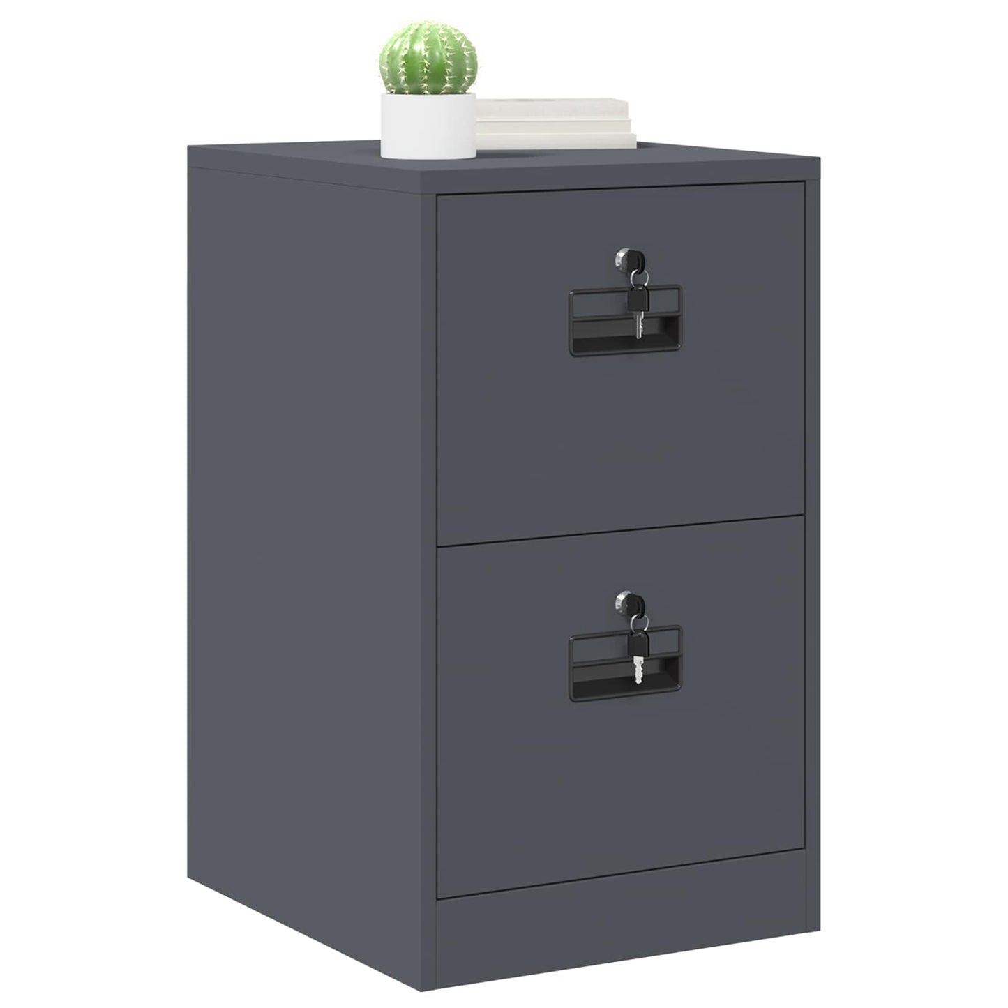 vidaXL Aktenschrank Anthrazit 44 x 50 x 106,5 cm Kaltgewalzter Stahl