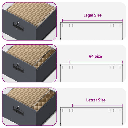 vidaXL Aktenschrank Anthrazit 44 x 50 x 106,5 cm Kaltgewalzter Stahl