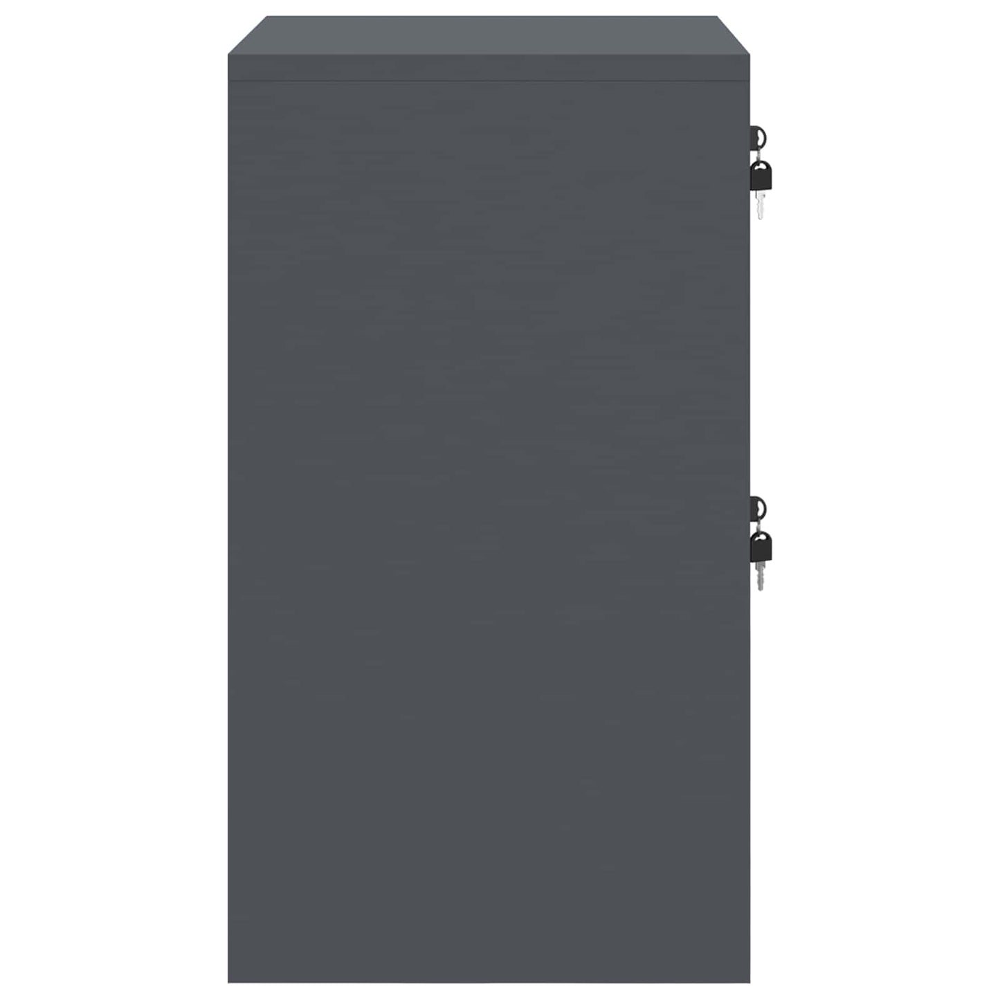vidaXL Aktenschrank Anthrazit 44 x 50 x 106,5 cm Kaltgewalzter Stahl