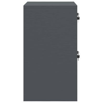 vidaXL Aktenschrank Anthrazit 44 x 50 x 106,5 cm Kaltgewalzter Stahl