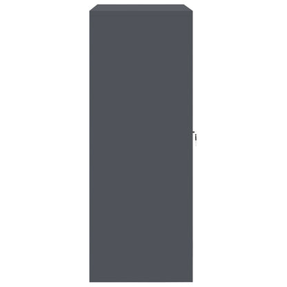 Aufbewahrungsschrank Anthrazit 90 x 40 x 105 cm Stahl