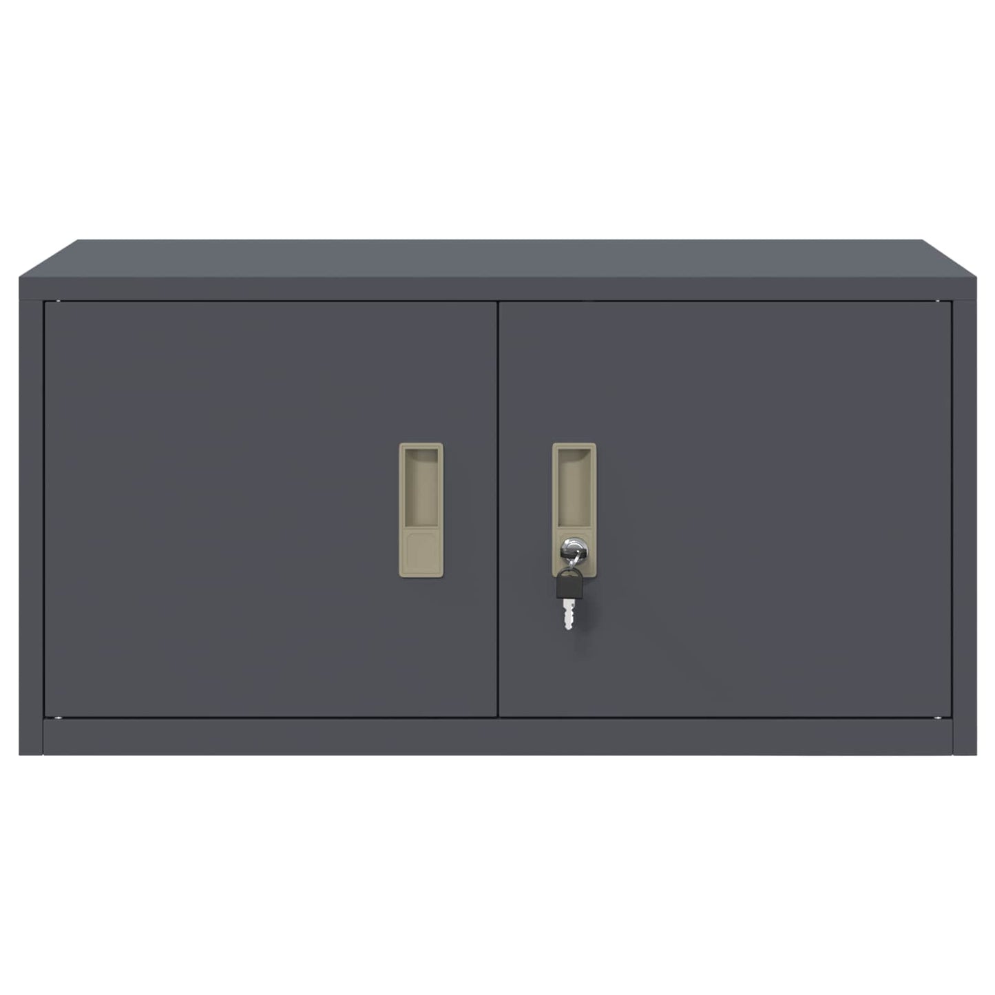 Aufbewahrungsschrank Anthrazit 80 x 40 x 40 cm Stahl