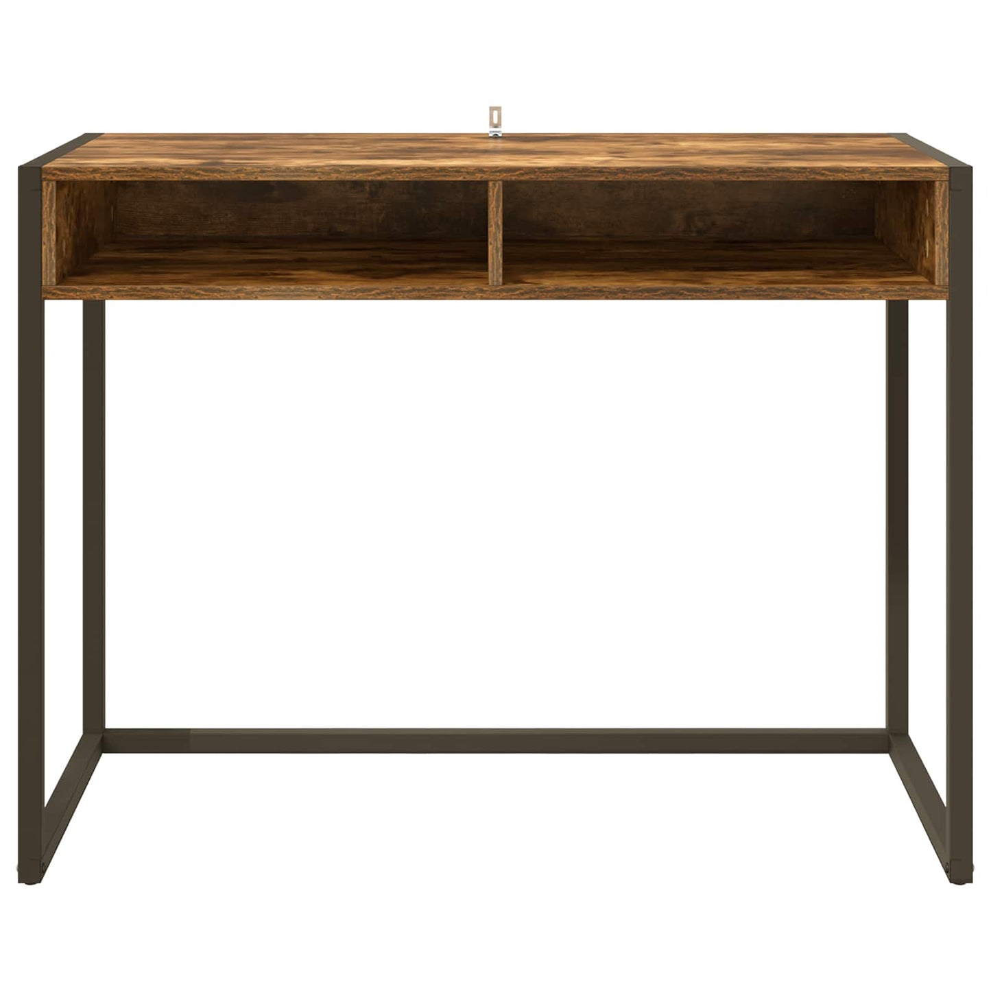 vidaXL Schreibtisch Raucharbe 100 x 50 x 75 cm Holzwerkstoff