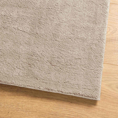 Bereichsteppiche Rechtwinklig HUARTE Sand 300 x 80 cm Polyester