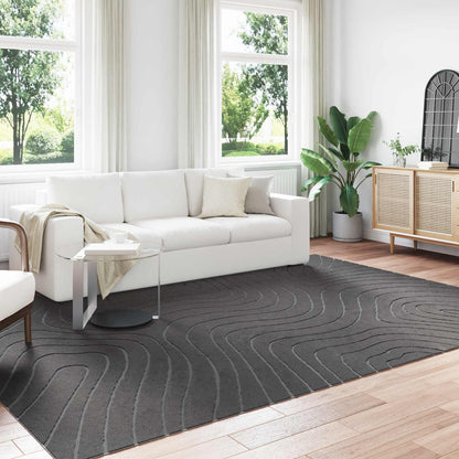 vidaXL Bereichsteppiche HUARTE Anthrazit 340 x 240 cm Polyester