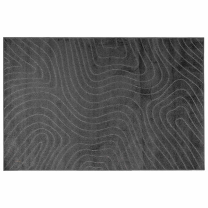 vidaXL Bereichsteppiche HUARTE Anthrazit 340 x 240 cm Polyester