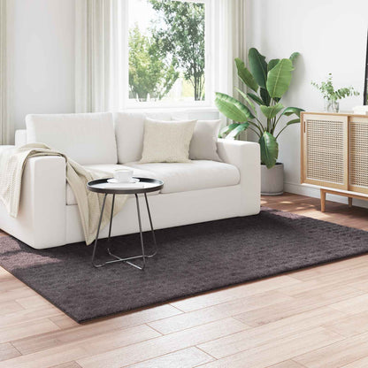 vidaXL Bereichsteppiche HUARTE Anthrazit 200 x 140 cm Polyester