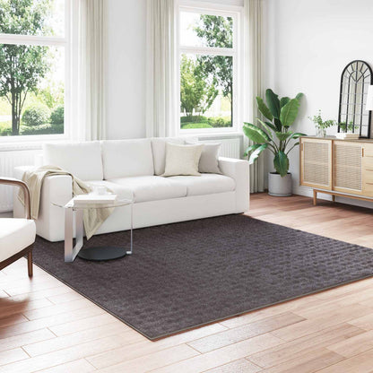 vidaXL Bereichsteppiche HUARTE Anthrazit 240 x 240 cm Polyester