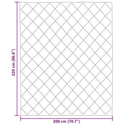 vidaXL Sommerdecke Schwarz 220 x 200 cm Mikrofaser