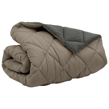 vidaXL Couette d'hiver Gris clair et anthracite 240 x 200 cm Microfibre