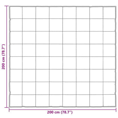 vidaXL Sommerdecke Schwarz 200 x 200 cm Satin und Mikrofaser
