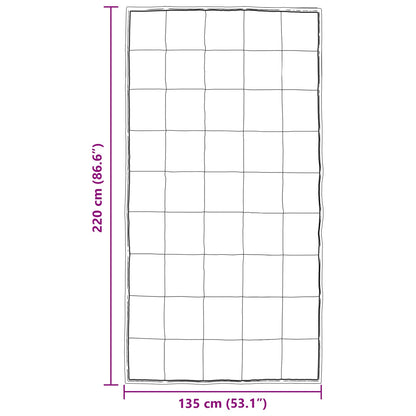 vidaXL Winterbettdecke Silber 220 x 135 cm Satin und Mikrofaser