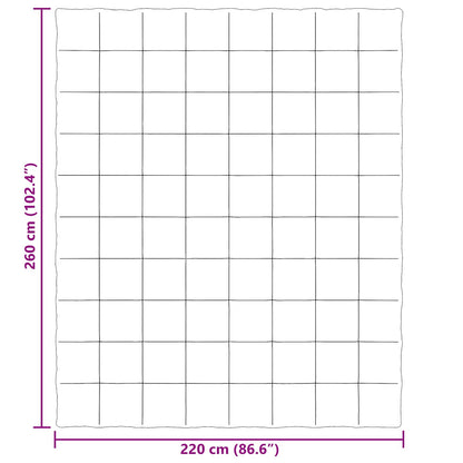 Ganzjahresbettdecke Gepolstert Hellgrau 220 x 260 cm Mikrofaser