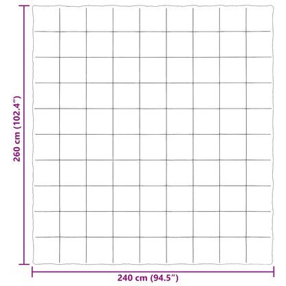 Ganzjahresbettdecke Gepolstert Hellgrau 240 x 260 cm Mikrofaser
