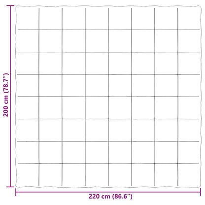 Winterbettdecke Gepolstert Creme 200 x 220 cm Mikrofaser
