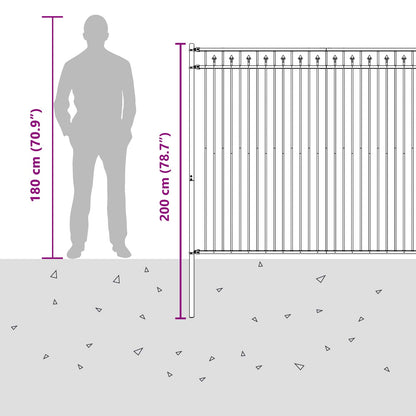 vidaXL Spitzenzaun Schwarz 200 x 200 cm Pulverbeschichteter Stahl