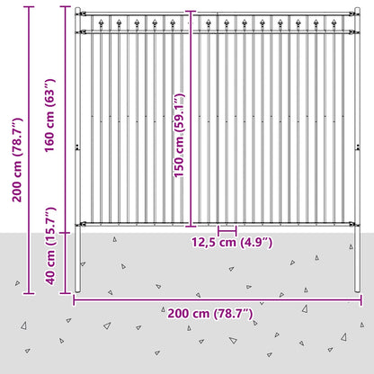 vidaXL Spitzenzaun Schwarz 200 x 200 cm Pulverbeschichteter Stahl