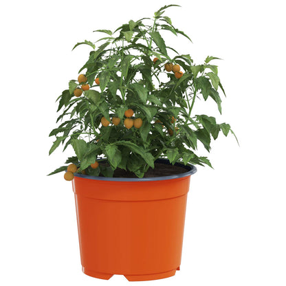 vidaXL Blumentopf 50 pcs Terrakotta Ø 15 x 12,5 cm Kunststoff