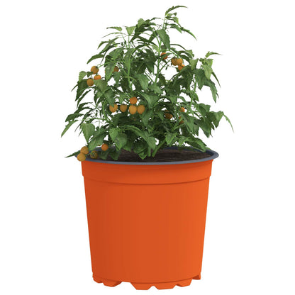 vidaXL Blumentopf 200 pcs Terrakotta Ø 15 x 13 cm Kunststoff