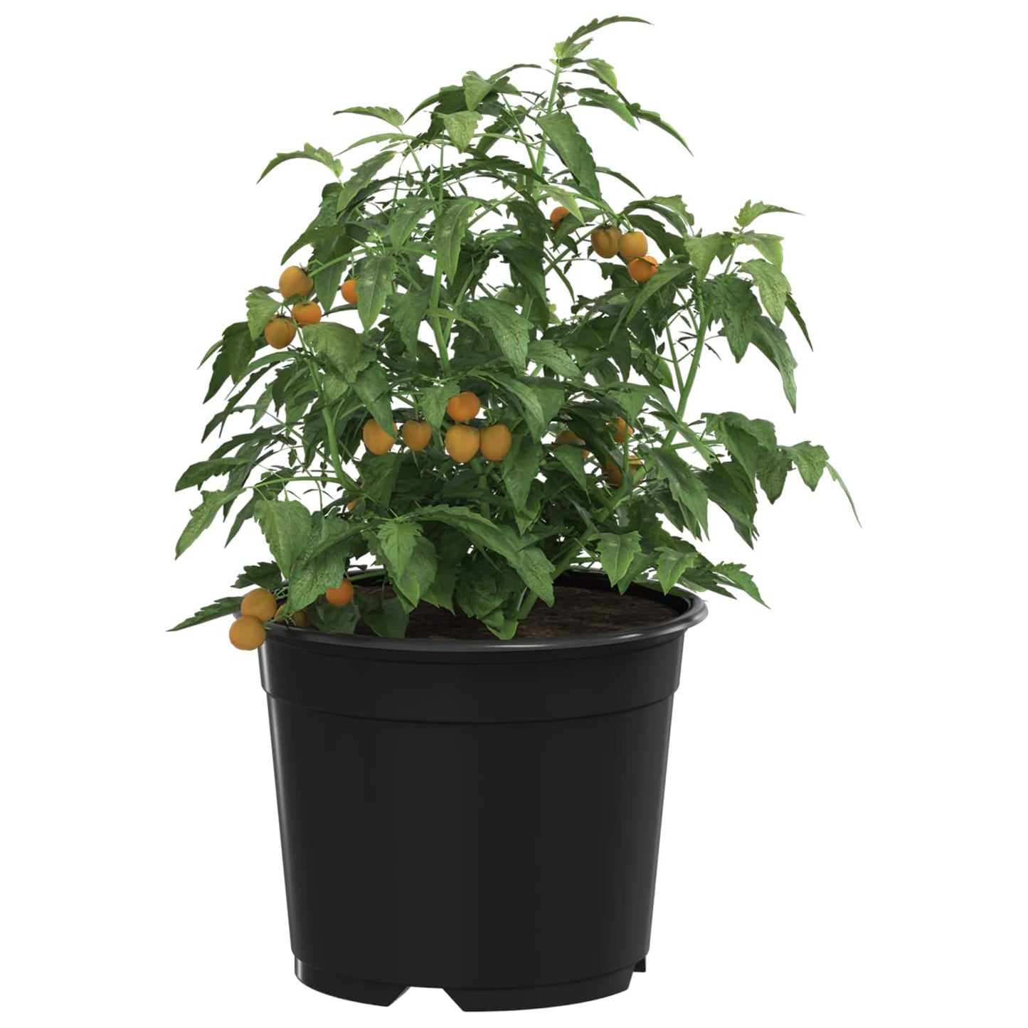 vidaXL Pot de fleurs 200 pcs Noir Ø 15 x 12,5 cm Plastique