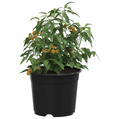 vidaXL Pot de fleurs 200 pcs Noir Ø 15 x 12,5 cm Plastique