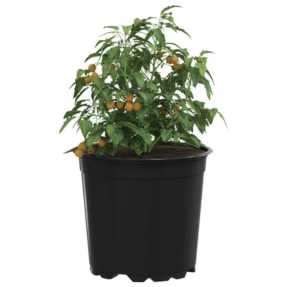 vidaXL Blumentopf 100 pcs Schwarz Ø 15 x 13 cm Kunststoff