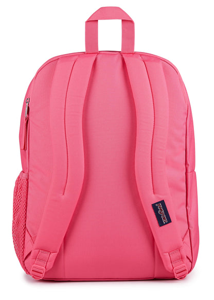 JanSport Laptop Backpack - Computer Bag with 2 Compartments, Ergonomic Shoulder Straps, 15” Laptop Sleeve, Haul Handle - Book Rucksack - Strawberry Shower