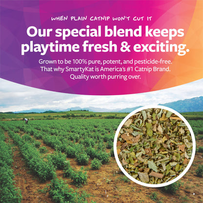 SmartyKat Leggy Llama Katzenminze Knisterndes Plüsch-Kickspielzeug für Katzen, Weicher, schlaffer Körper zum Raufen und für Hasentritte für Katzen und Kätzchen