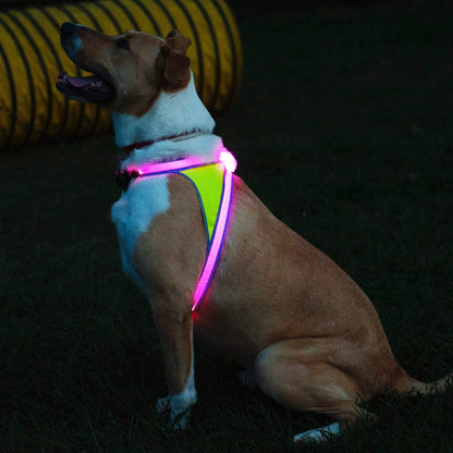 Noxgear LightHound - Revolutionäres beleuchtetes und reflektierendes Hundegeschirr mit mehrfarbigen LED-Lichtleitern (USB-aufladbar, verstellbar, leicht, regendicht) (Größe L)