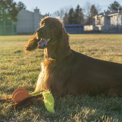 Outward Hound Tail Teaser Ersatzköder für Hunde-Teaserstab, Fuchs 