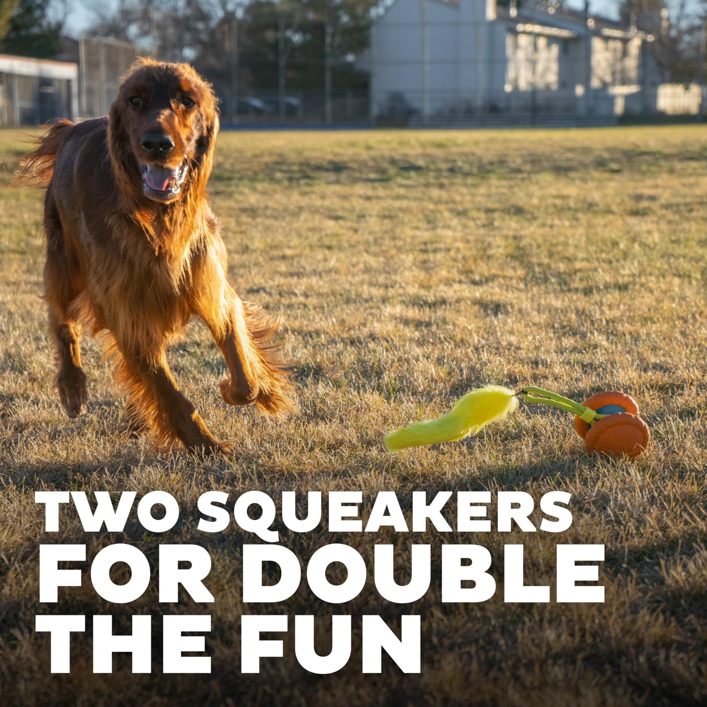 Outward Hound Tail Teaser Ersatzköder für Hunde-Teaserstab, Fuchs 