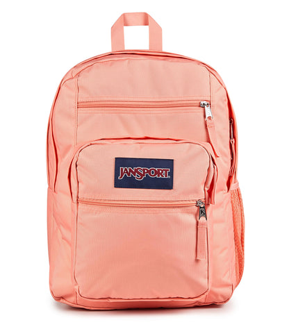 JanSport Laptop Backpack - Computer Bag with 2 Compartments, Ergonomic Shoulder Straps, 15” Laptop Sleeve, Haul Handle - Book Rucksack - Strawberry Shower