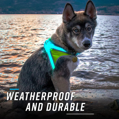 Noxgear LightHound - Revolutionäres beleuchtetes und reflektierendes Hundegeschirr mit mehrfarbigen LED-Lichtleitern (USB-aufladbar, verstellbar, leicht, regendicht) (Größe L)