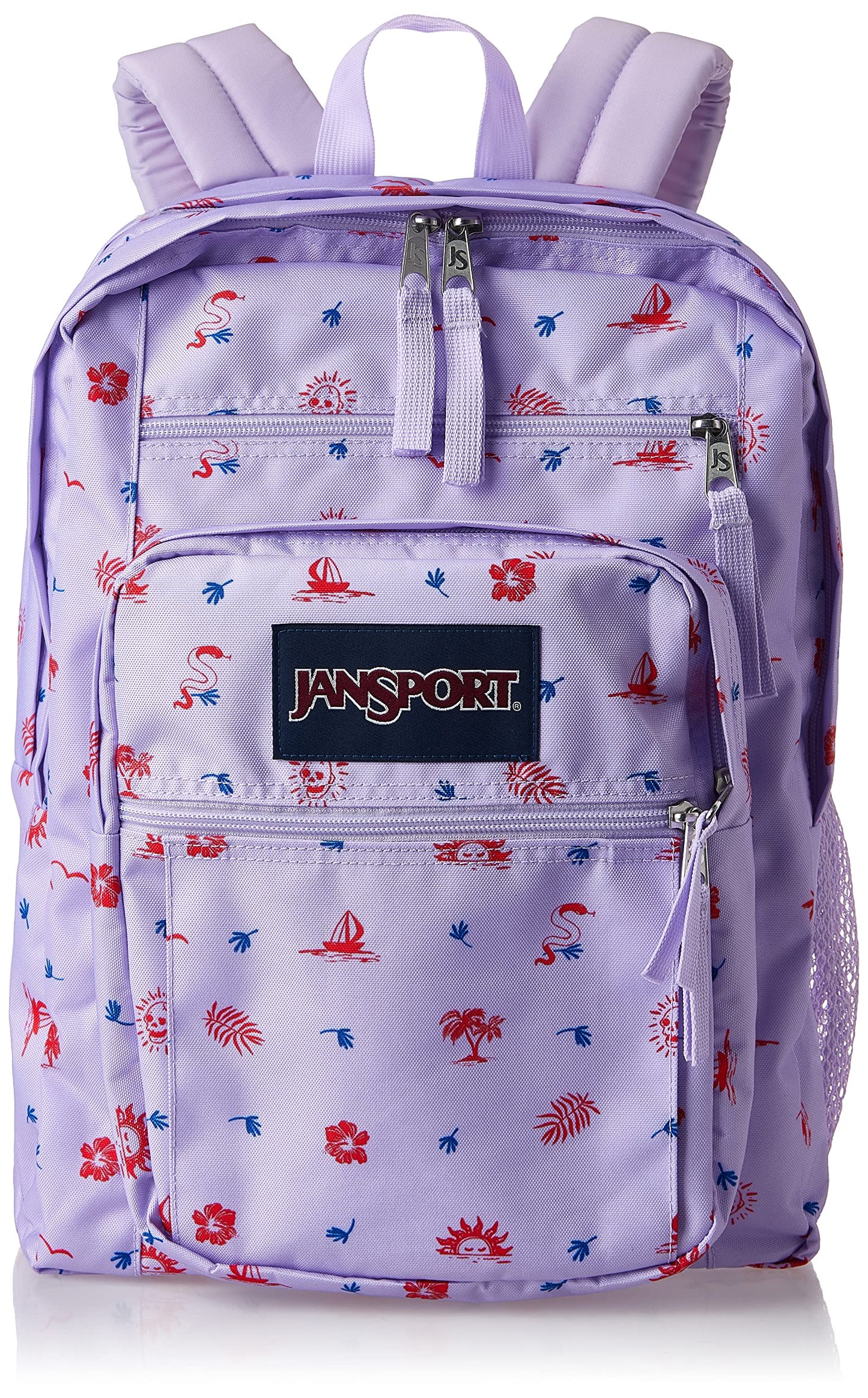 JanSport Laptop Backpack - Computer Bag with 2 Compartments, Ergonomic Shoulder Straps, 15” Laptop Sleeve, Haul Handle - Book Rucksack - Strawberry Shower