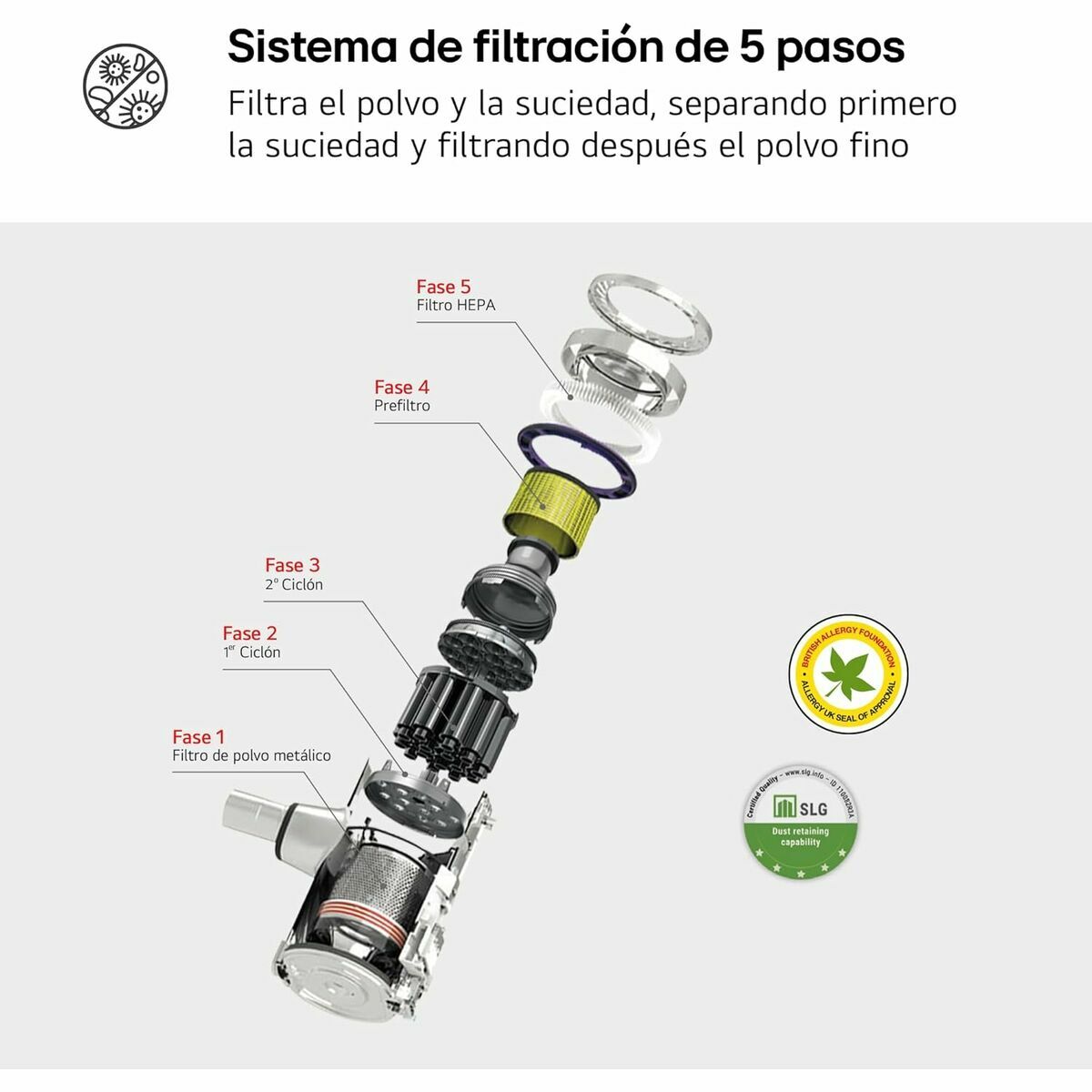 V2HEDF825B6E483EFE357D5B88EF21AF8D6R6756134P6