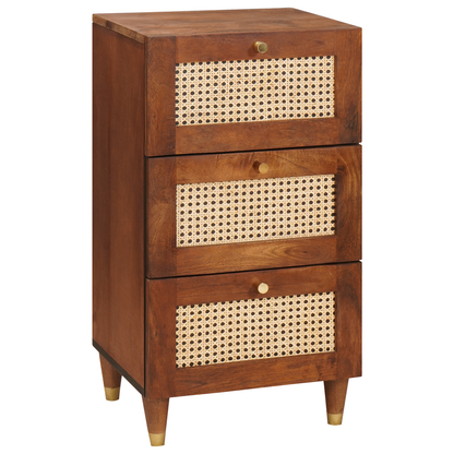vidaXL Sideboard Braun 40 x 33,5 x 75 cm Massivholz Mango